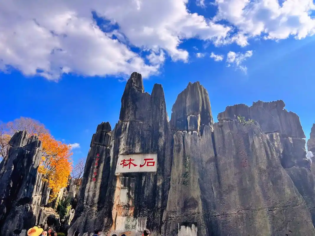 抽象TV话题  带着抽象org去旅行-抽象org