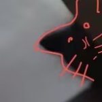 石林疯狂站肿聂好-抽象org